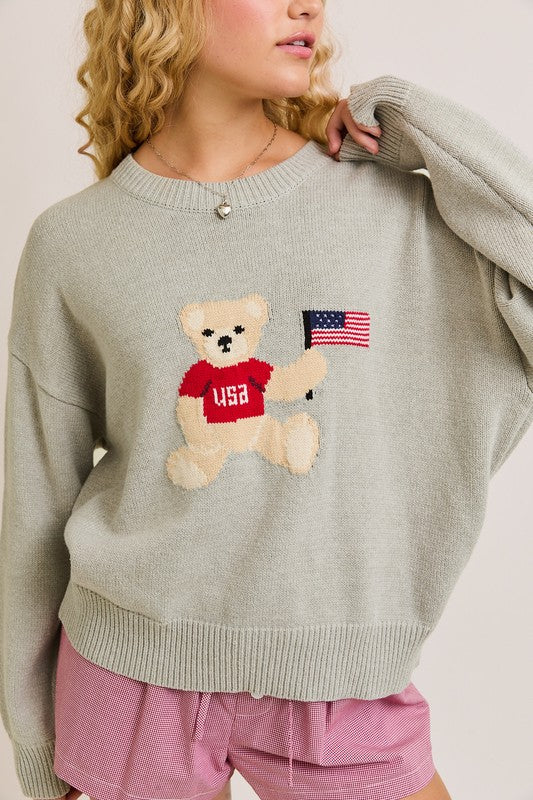 Teddy USA Sweater