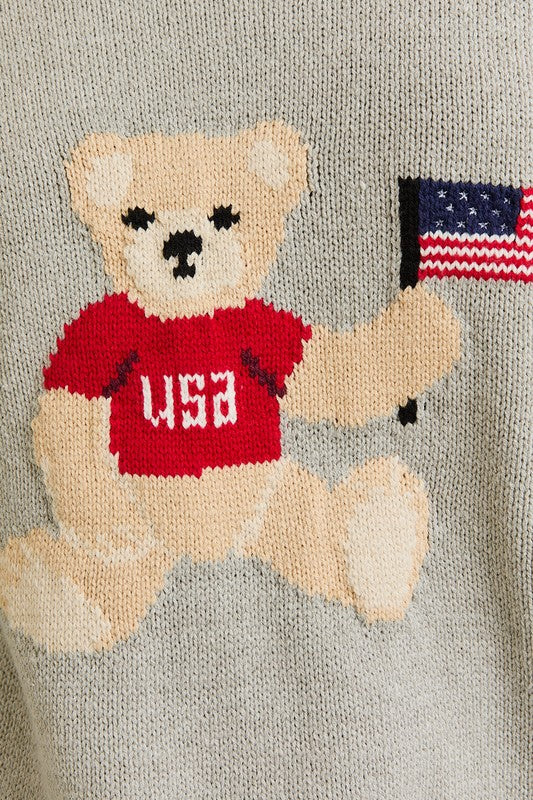 Teddy USA Sweater