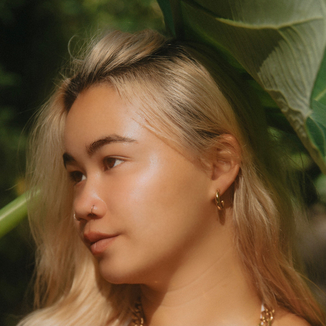 Jolie Hoops Earrings