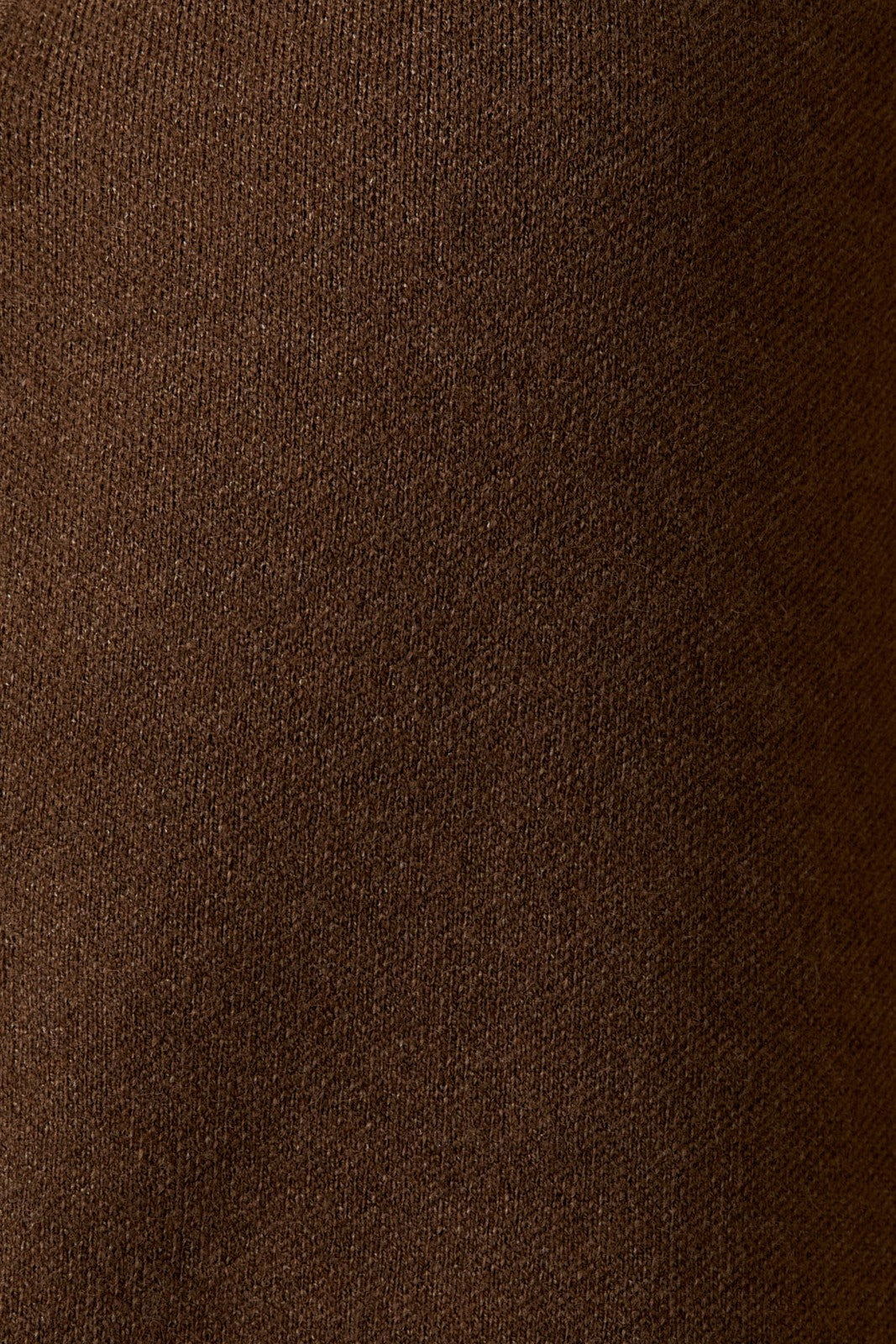 Autumn Brown Dress