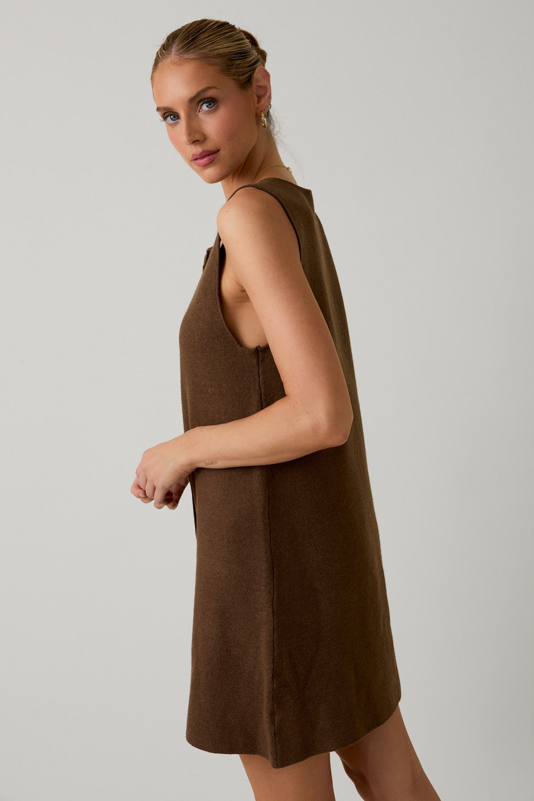 Autumn Brown Dress
