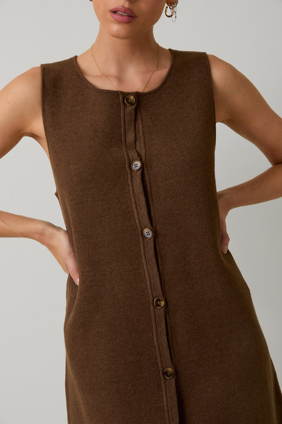 Autumn Brown Dress