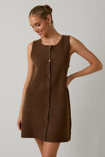 Autumn Brown Dress
