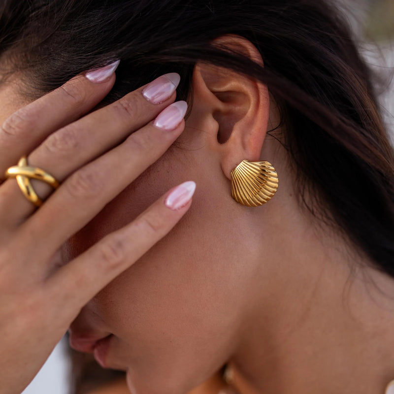 Seashell Earrings