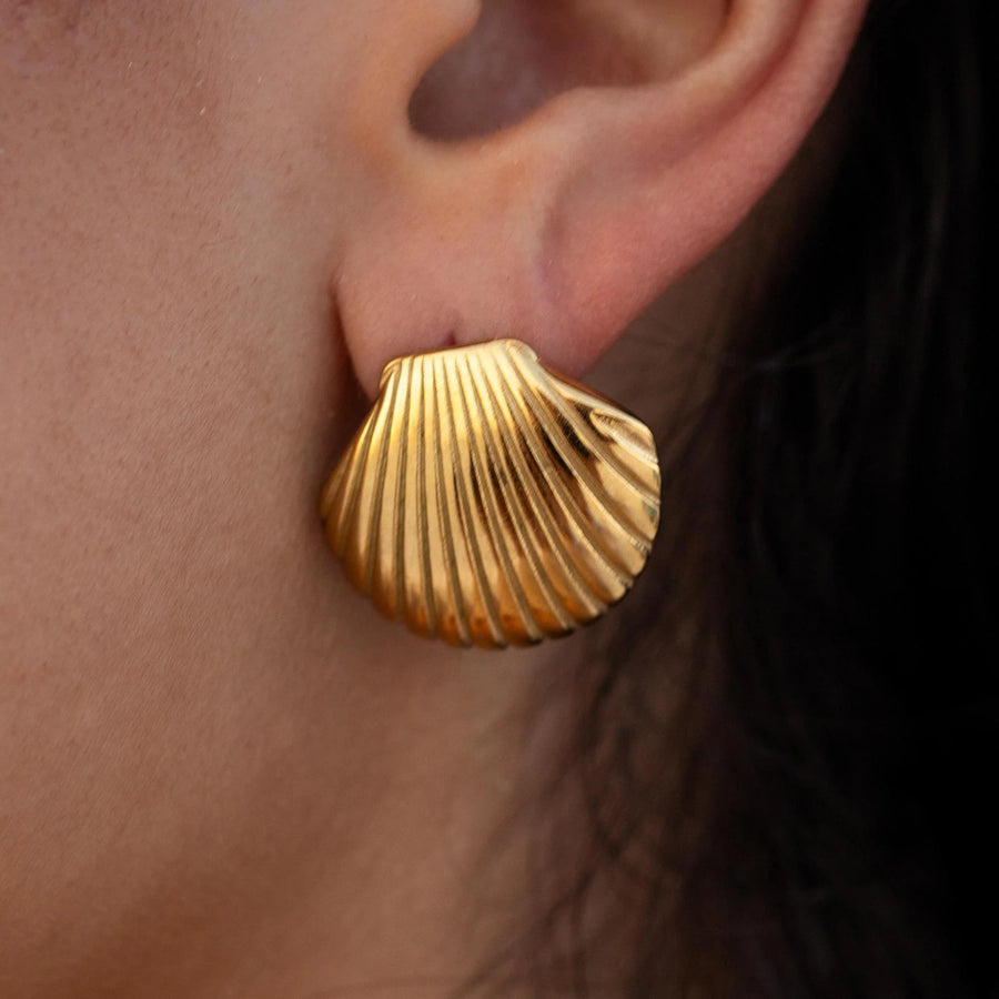 Seashell Earrings