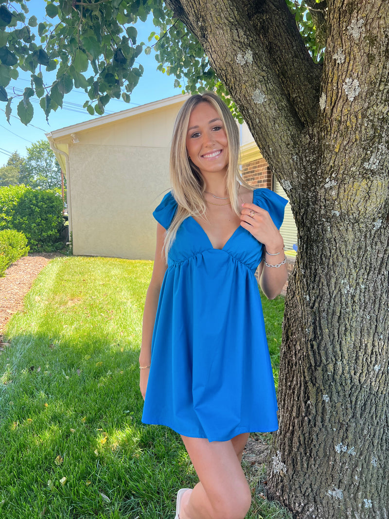 Blueberry Dress